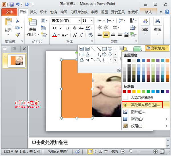 PowerPoint2010中圖片的透明遮罩技巧