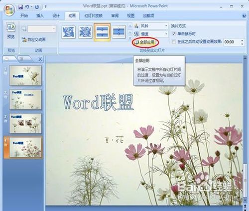 powerpoint2007設置圖片的切換效果