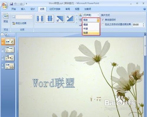 powerpoint2007設置圖片的切換效果