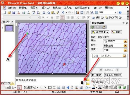 用PowerPoint輕松制作顯微鏡動畫特效