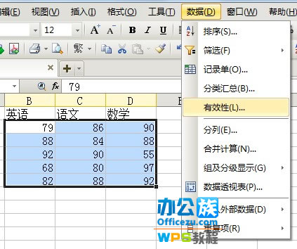 WPS表格輸入錯誤提示設置，確保數據准確性   三聯