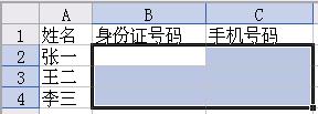 WPS表格文字格式的正確輸入法