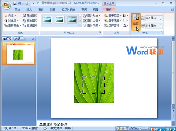 PowerPoint2007中圖片燒焦效果的制作