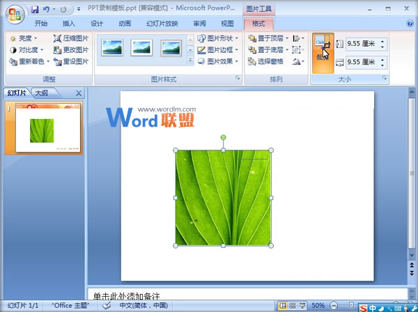 PowerPoint2007中圖片燒焦效果的制作