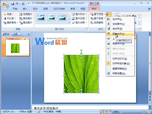 PowerPoint2007中圖片燒焦效果的制作