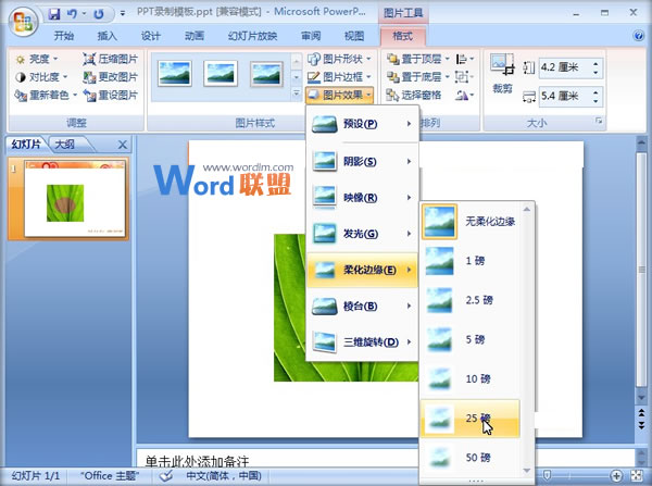 PowerPoint2007中圖片燒焦效果的制作