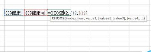 Excel中Choose函數如何使用？