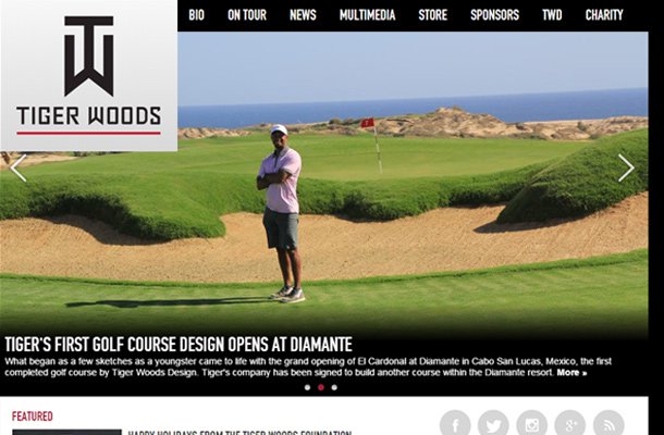 tiger woods pro golfer personal website