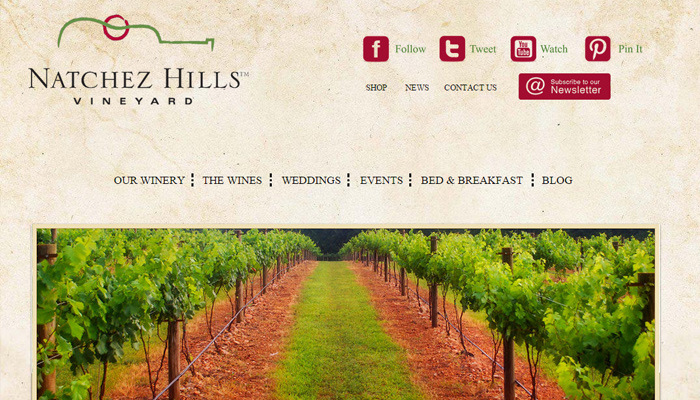 12-natchez-hills-vineyard-grunge-design