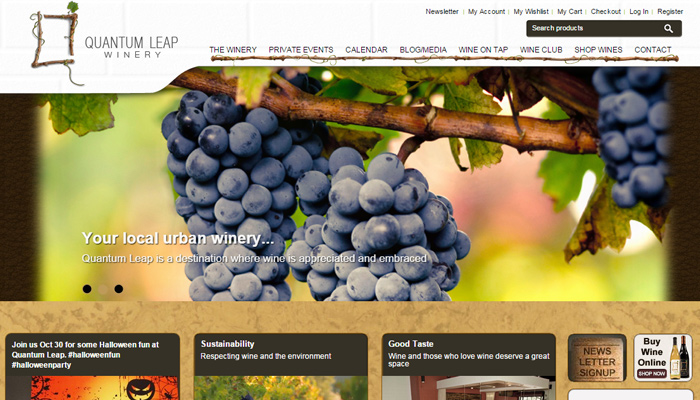 10-quantum-leap-winery-homepage-layout