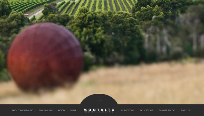 27-montalto-vineyard-olive-grove-website
