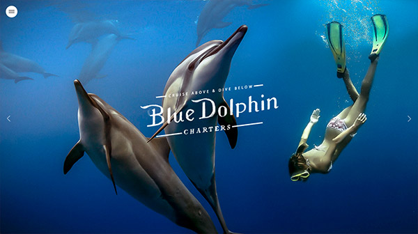 Blue Dolphin Charters