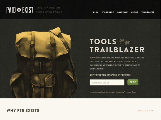 Textured website design example: Paid to Exist