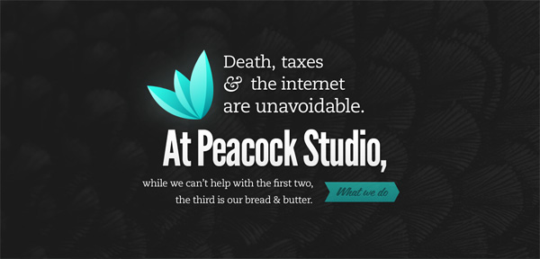 Peacock Studio