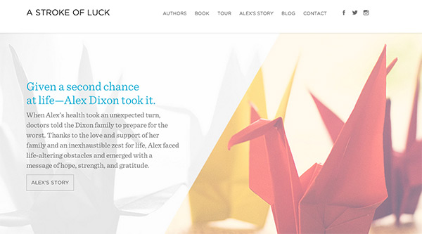 A Stroke of Luck in 35 Minimalistic Website Designs for December 2013