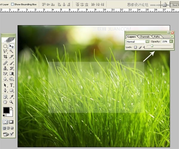 Photoshop清新風格綠色登陸框制作教程  三聯教程