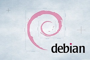 Debian下手動安裝LiteSpeed+PHP+MySQL教程 三聯教程