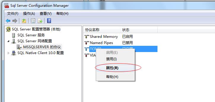 SQL Server 建立連接時出現的錯誤