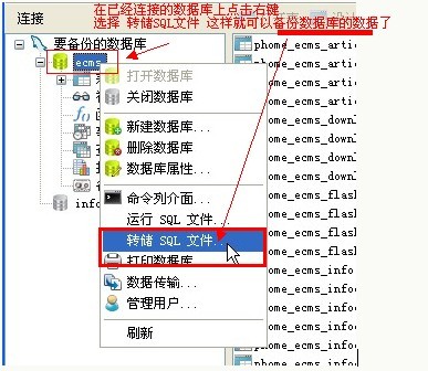 使用Navicat Premium備份和導入數據庫5.jpg