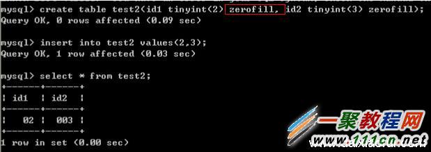 mysql tinyint(1)