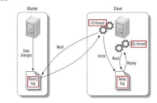 怎麼使用MySQL數據庫