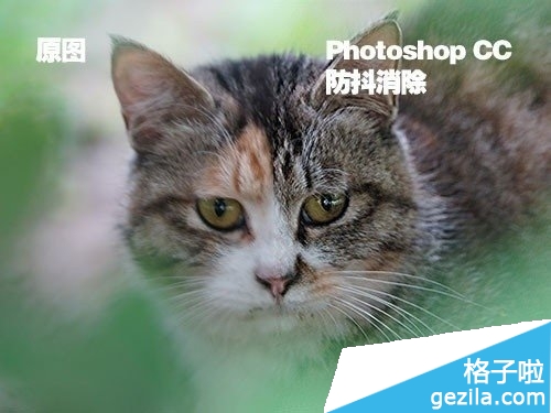 Photoshop CC新功能反向補償消除模糊畫面