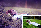 Photoshop打造柔美的暗調藍黃色草地人物圖片 三聯