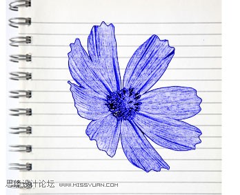 Photoshop制作藍色圓珠筆手繪花朵照片 三聯