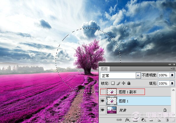 Photoshop打造夢幻薰衣草水晶球效果 電腦百事網