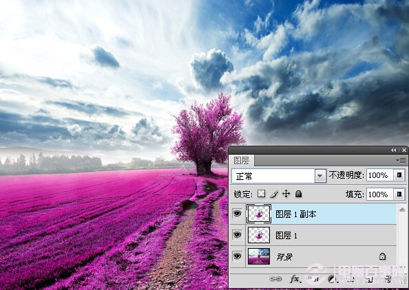 Photoshop打造夢幻薰衣草水晶球效果 電腦百事網