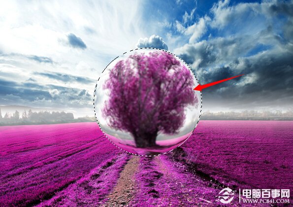 Photoshop打造夢幻薰衣草水晶球效果 電腦百事網