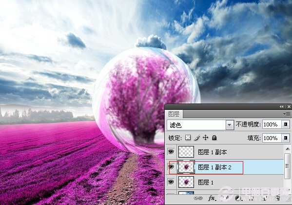 Photoshop打造夢幻薰衣草水晶球效果 電腦百事網