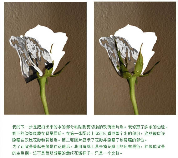 制作創意液態水玫瑰花圖案的PS技巧