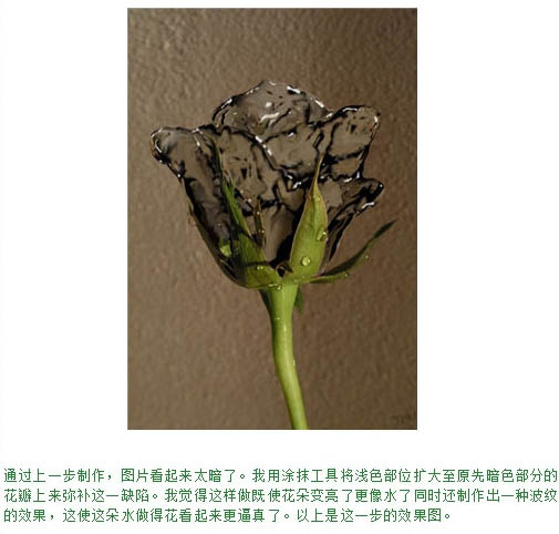 制作創意液態水玫瑰花圖案的PS技巧