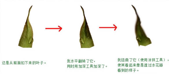 制作創意液態水玫瑰花圖案的PS技巧