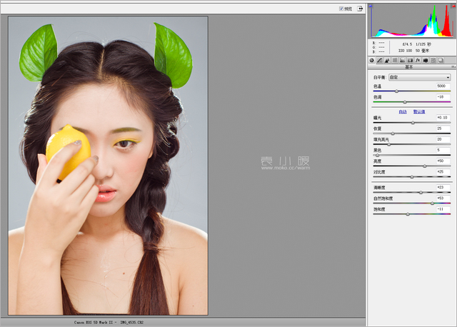 201421614534421 在Photoshop中打造水果妝面的人像圖片後期修圖教程