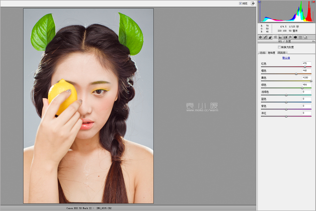201421614534541 在Photoshop中打造水果妝面的人像圖片後期修圖教程