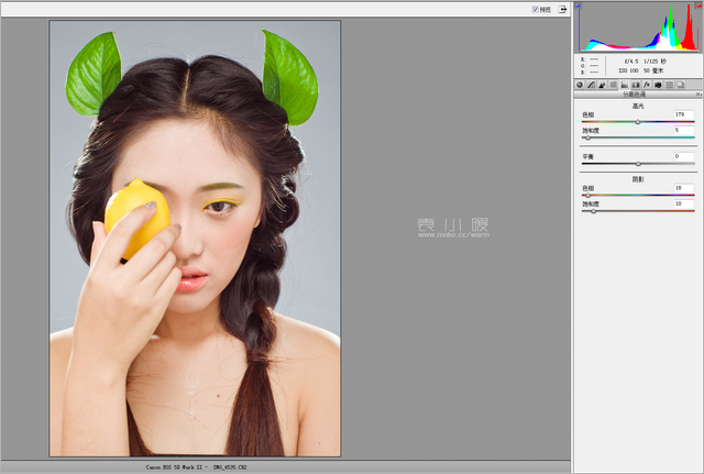 201421614534781 在Photoshop中打造水果妝面的人像圖片後期修圖教程