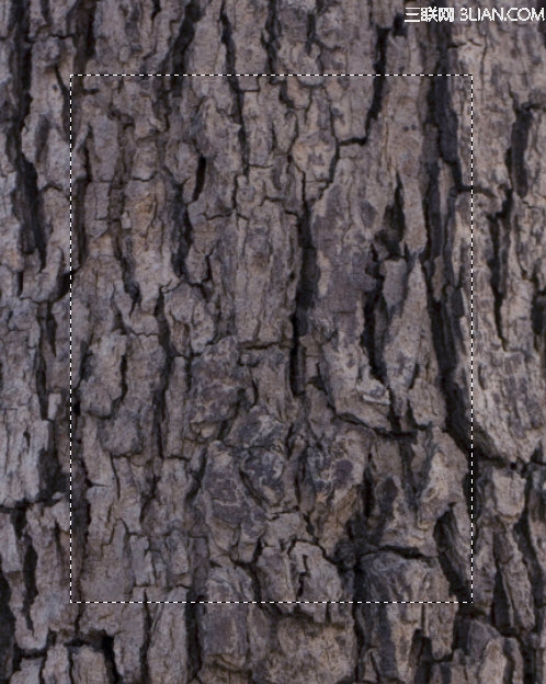 1 sel Create Abstract Photo Manipulation with Tree Bark Texture and Brush Elements