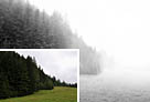 Photoshop給樹林風景照片加上淡灰色迷霧 三聯