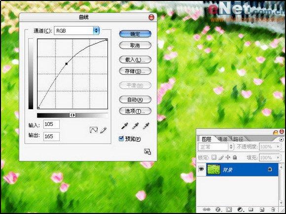 用Photoshop快速將照片轉為藝術繪畫效果(3)