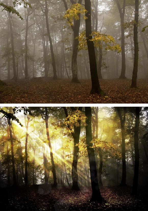 PhotoShop CS5打造夢幻光斑的樹林場景效果教程 三聯