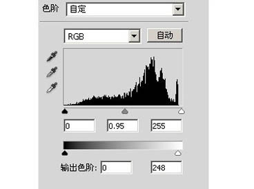 Photoshop將圖片調為泛白青色效果