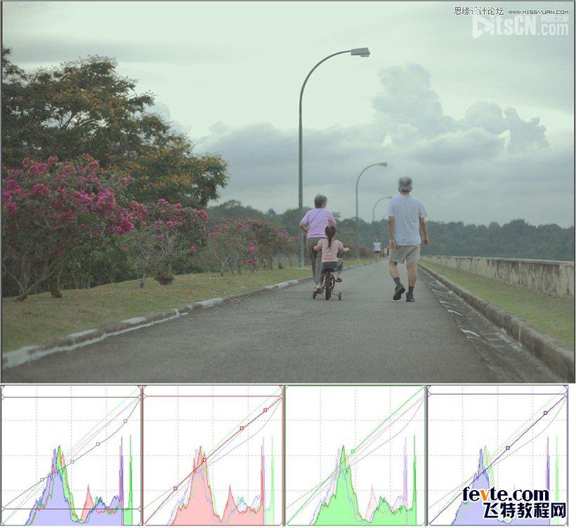 PS曲線調色思路方法及技巧實例解析