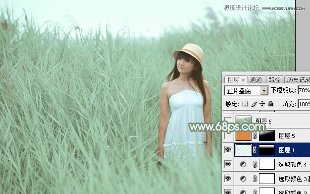 Photoshop調出蘆葦叢中女孩冷色效果,PS教程,思緣教程網