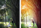 Photoshop給偏暗的樹林婚片增加燦爛的陽光色彩 三聯
