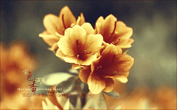 Photoshop打造古典韻味的黃褐色花卉圖片 三聯