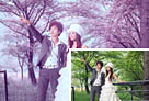 Photoshop給樹林婚片照片調出藍紫色技巧 三聯