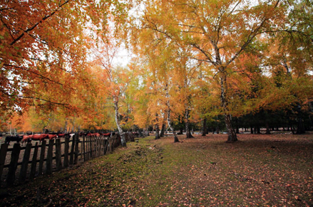 PS為秋日的風景照片調出高飽和色調教程 三聯