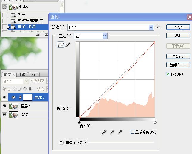 外景人像淡淡黃綠色調練習